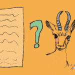 what is a document?